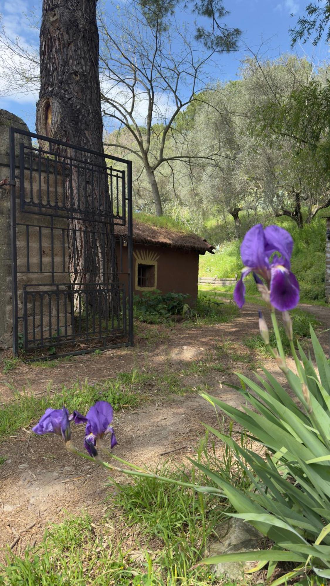 La Casa Del Grillo Villa Viterbo Luaran gambar